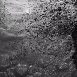 中国第一毛片区域在哪里
