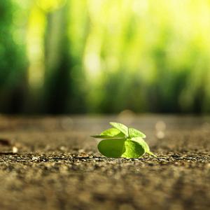 中国第一毛片区域在哪里
